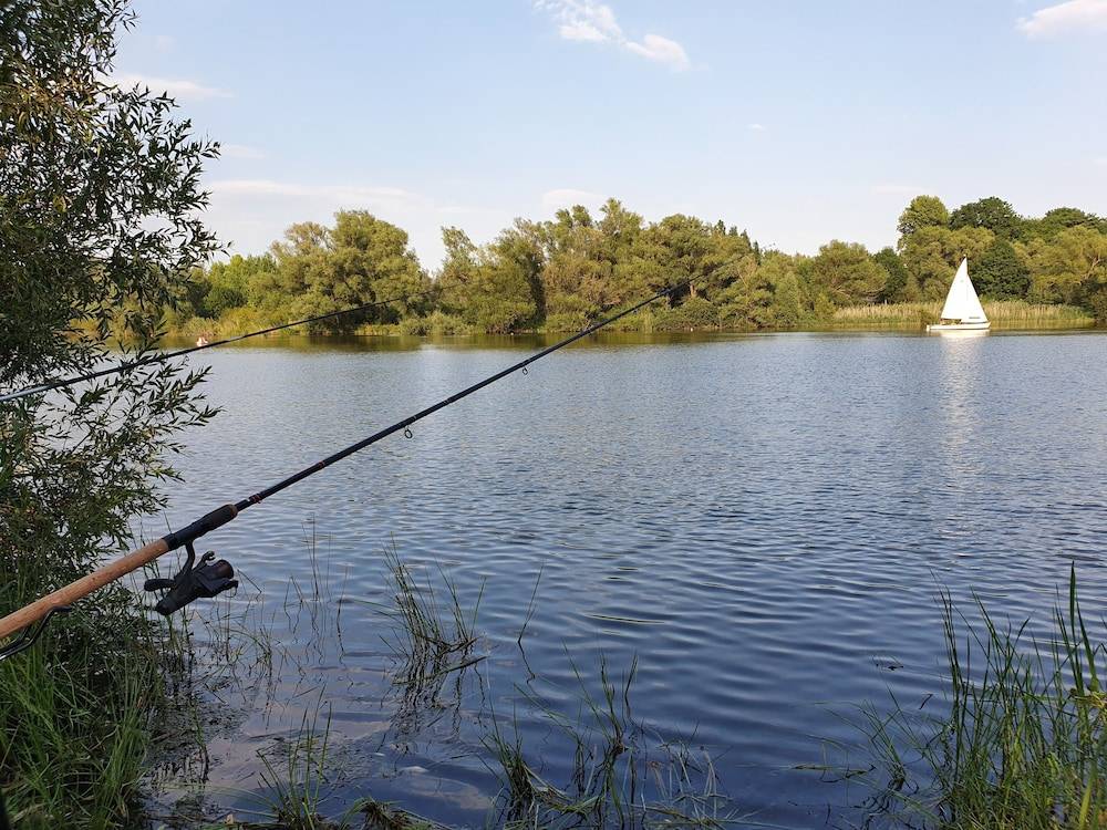 Fishing