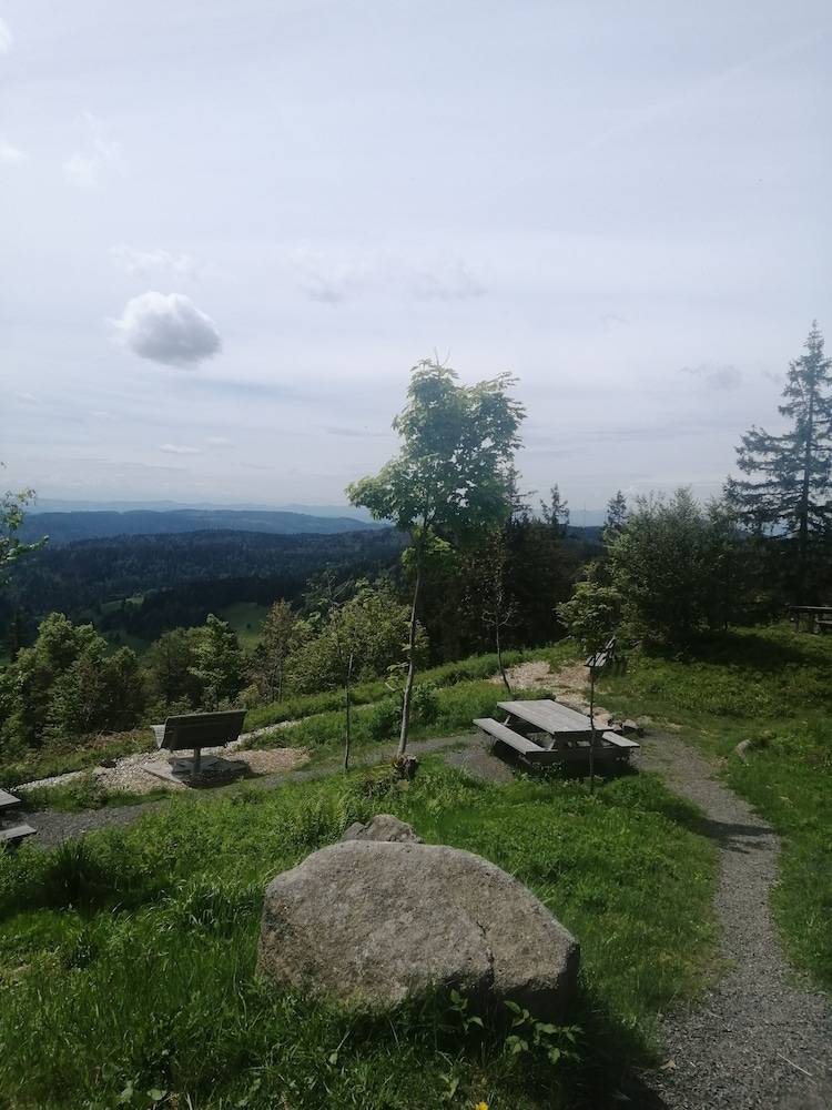Land view from property