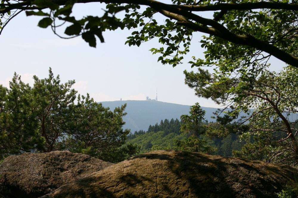 Hiking
