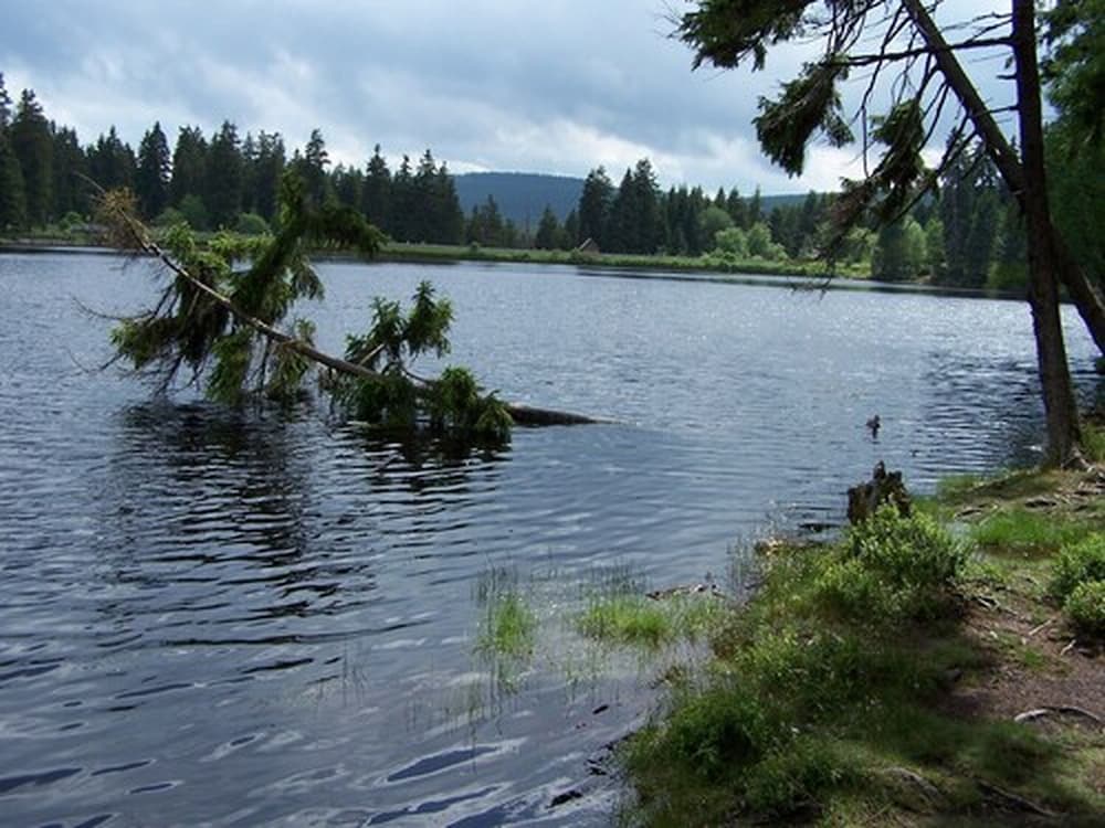 Hiking