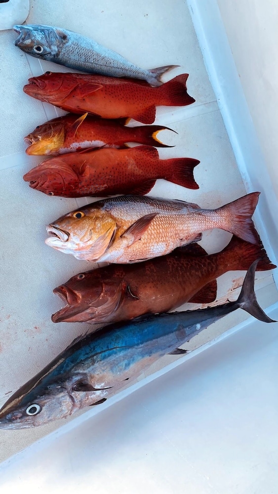 Fishing