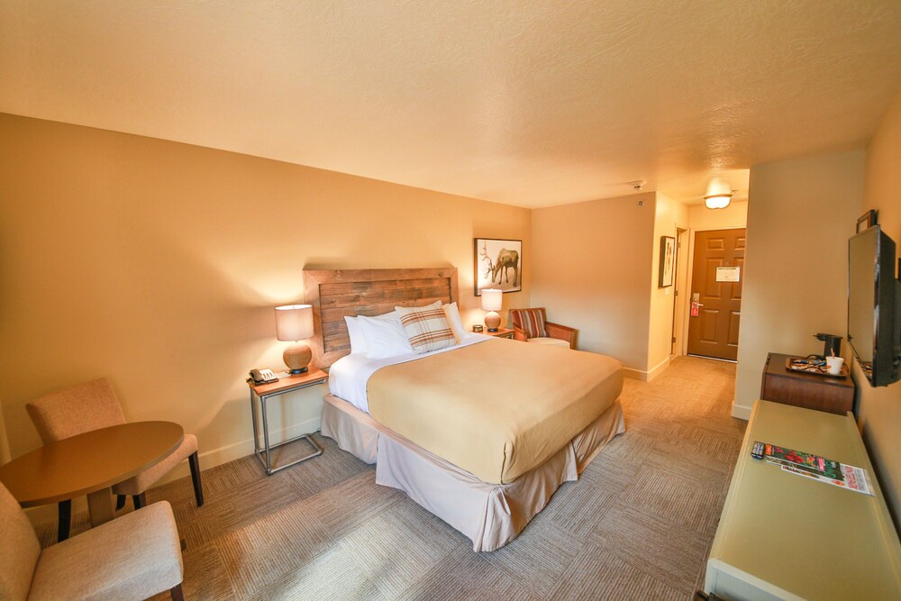 Trailhead Inn - photo 5