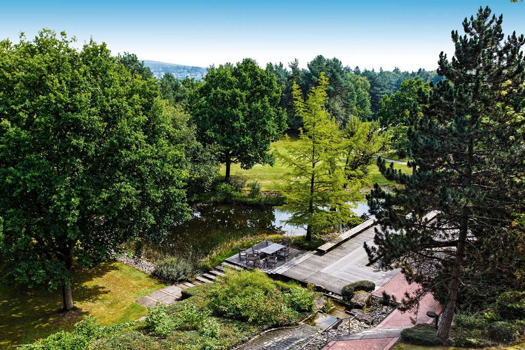 Bold Campus