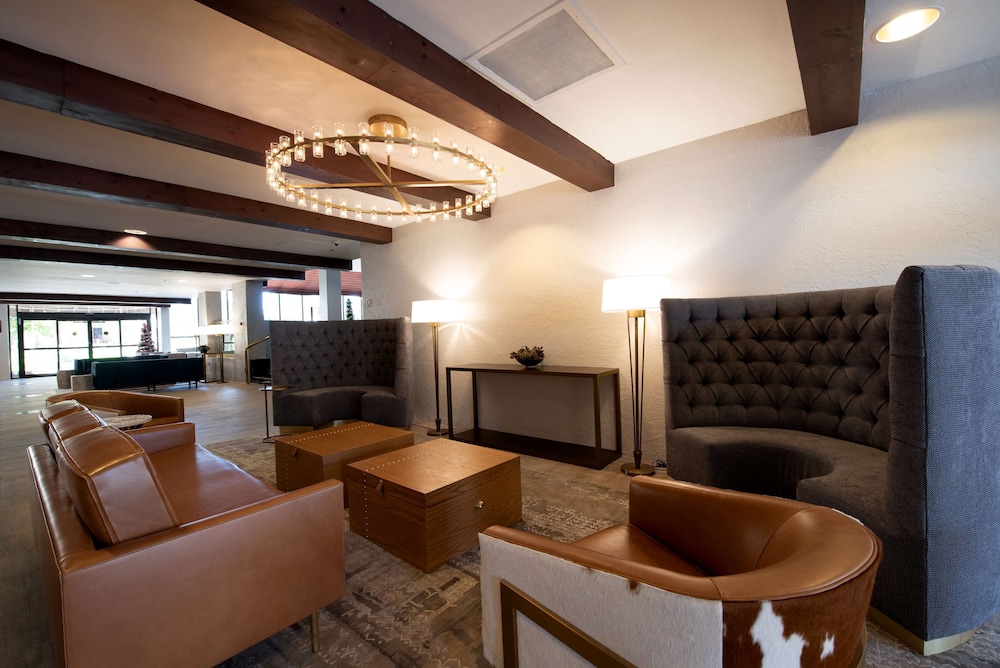 DoubleTree By Hilton Hotel Tucson Reid Park - photo 4