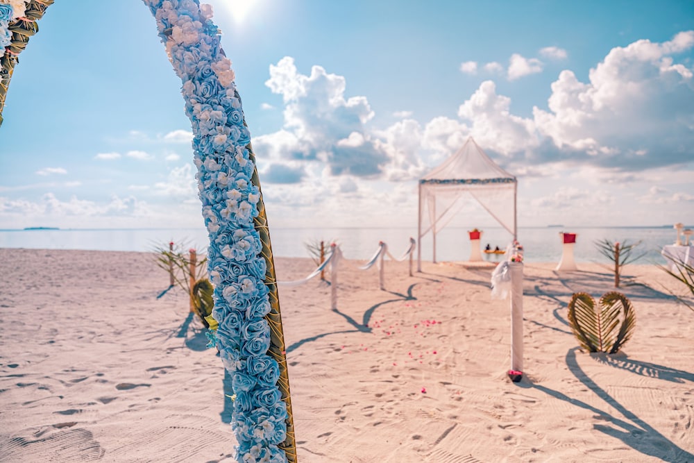 Outdoor wedding area