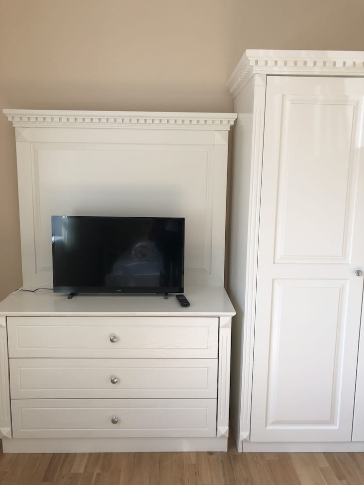 Television