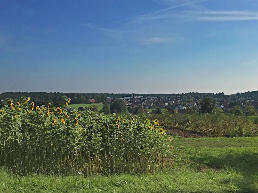 View from property