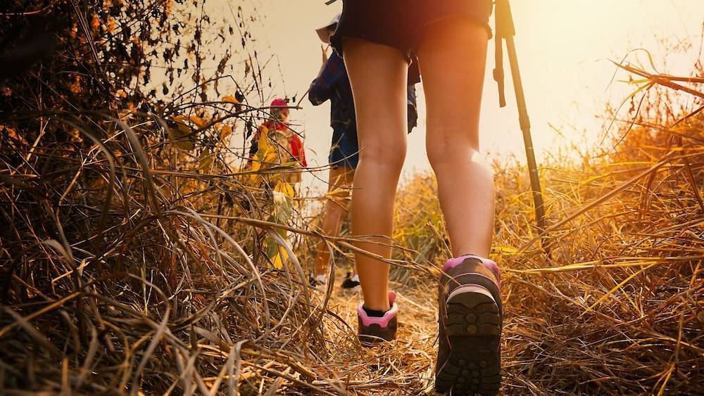 Hiking