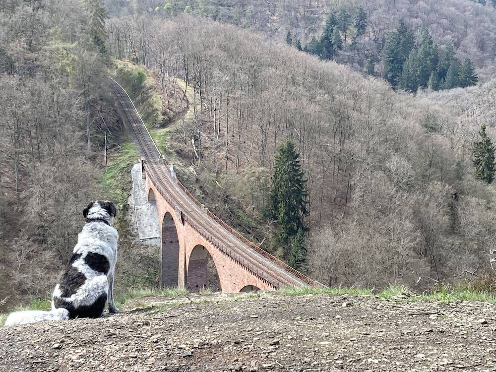 Hiking