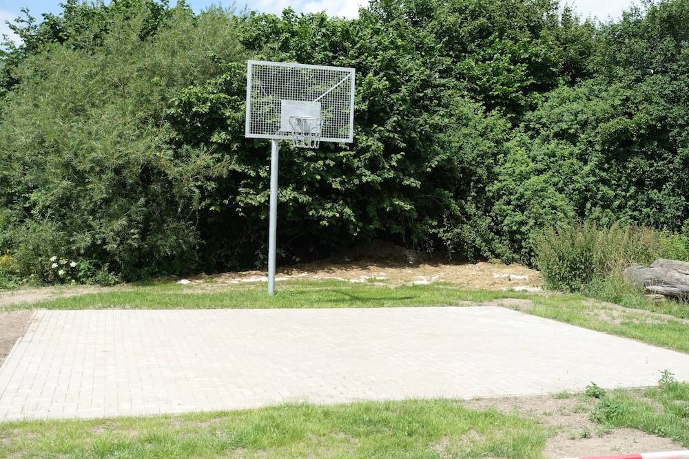 Basketball court