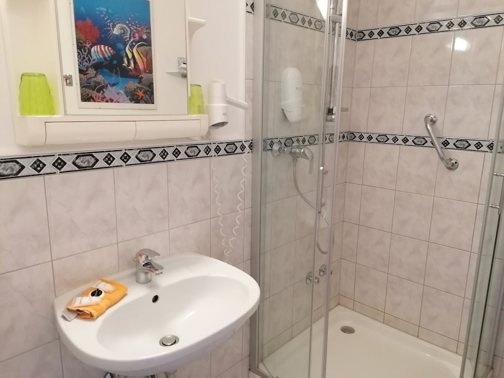 Hand-held showerhead