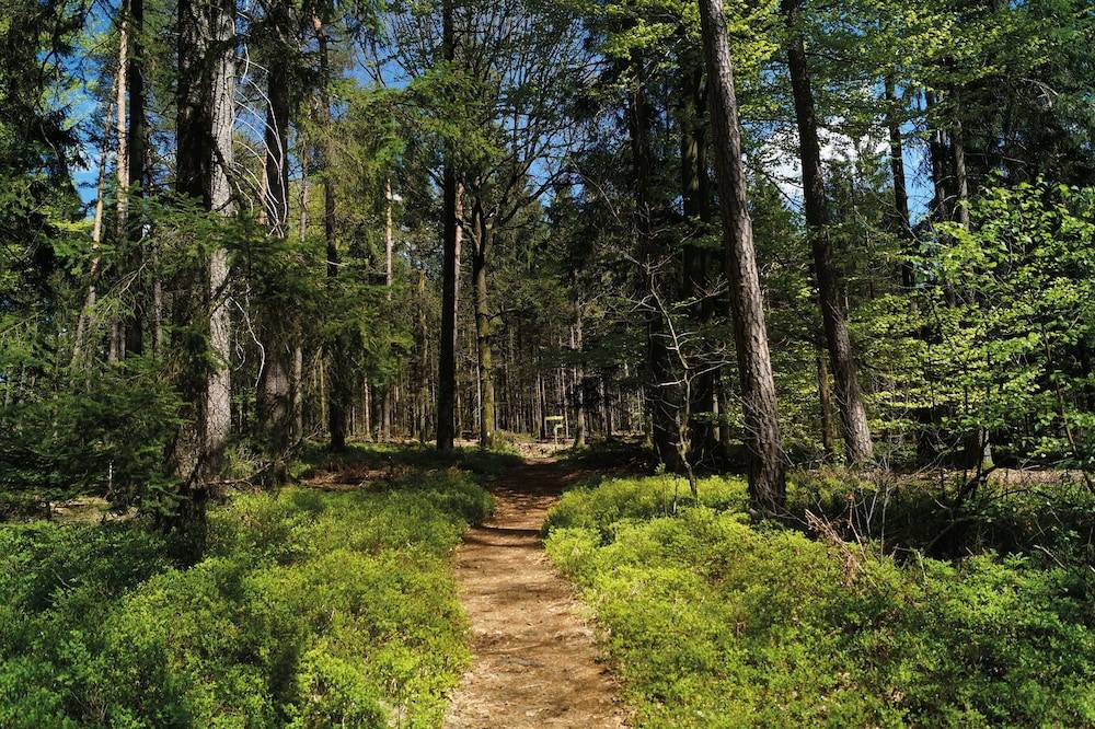Hiking