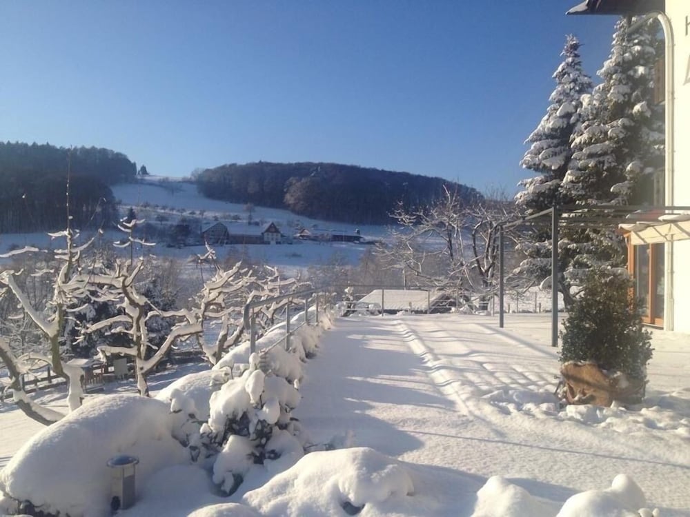 Land view from property
