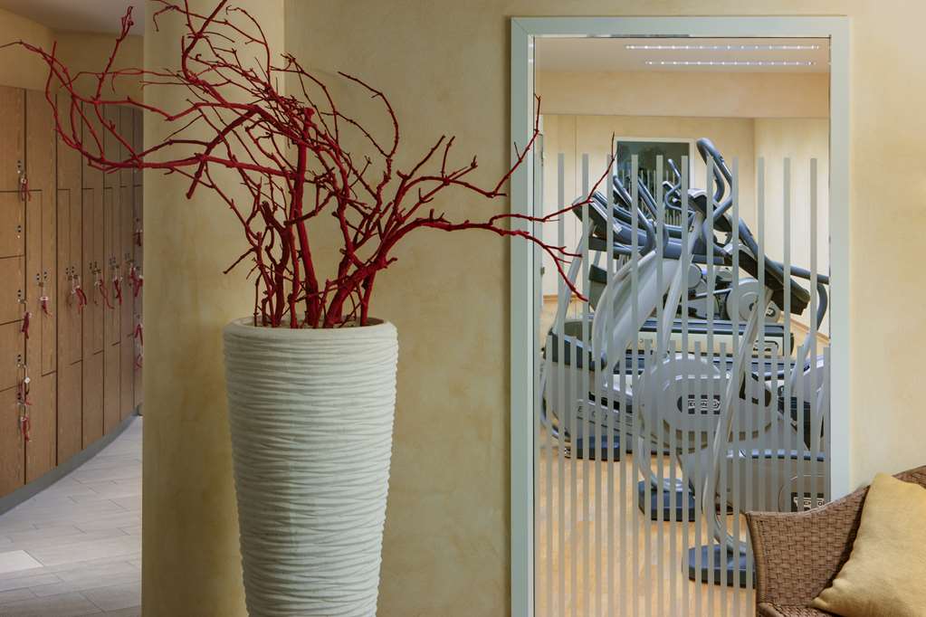 Steigenberger Hotel de Saxe, Dresden, Germany - Fitness area