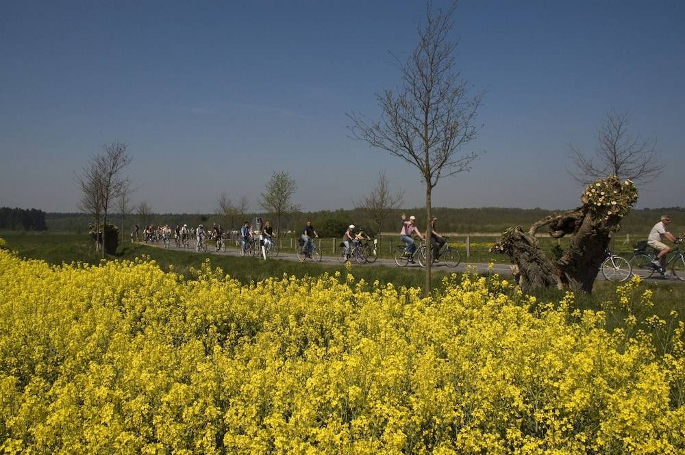 Bicycling