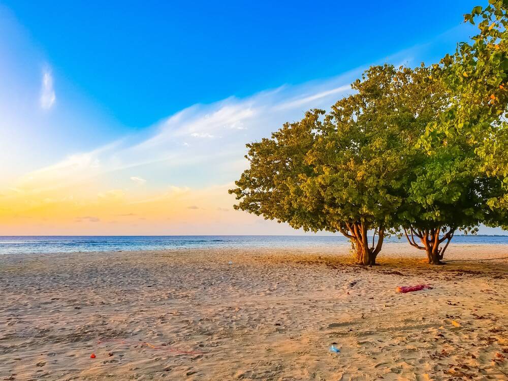 Beach