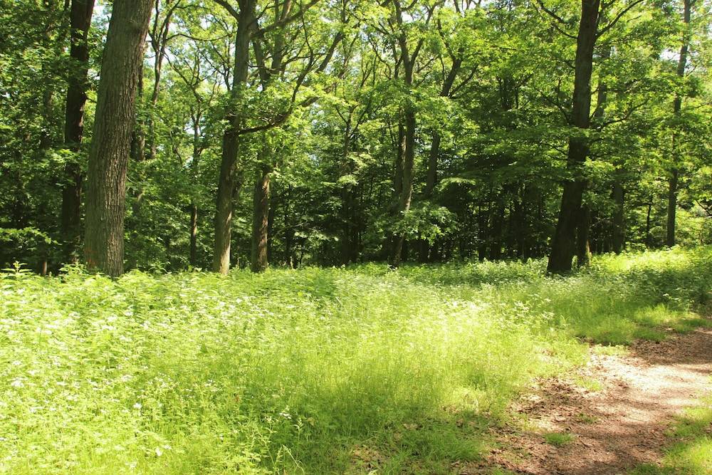 Hiking