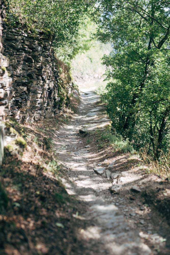 Hiking