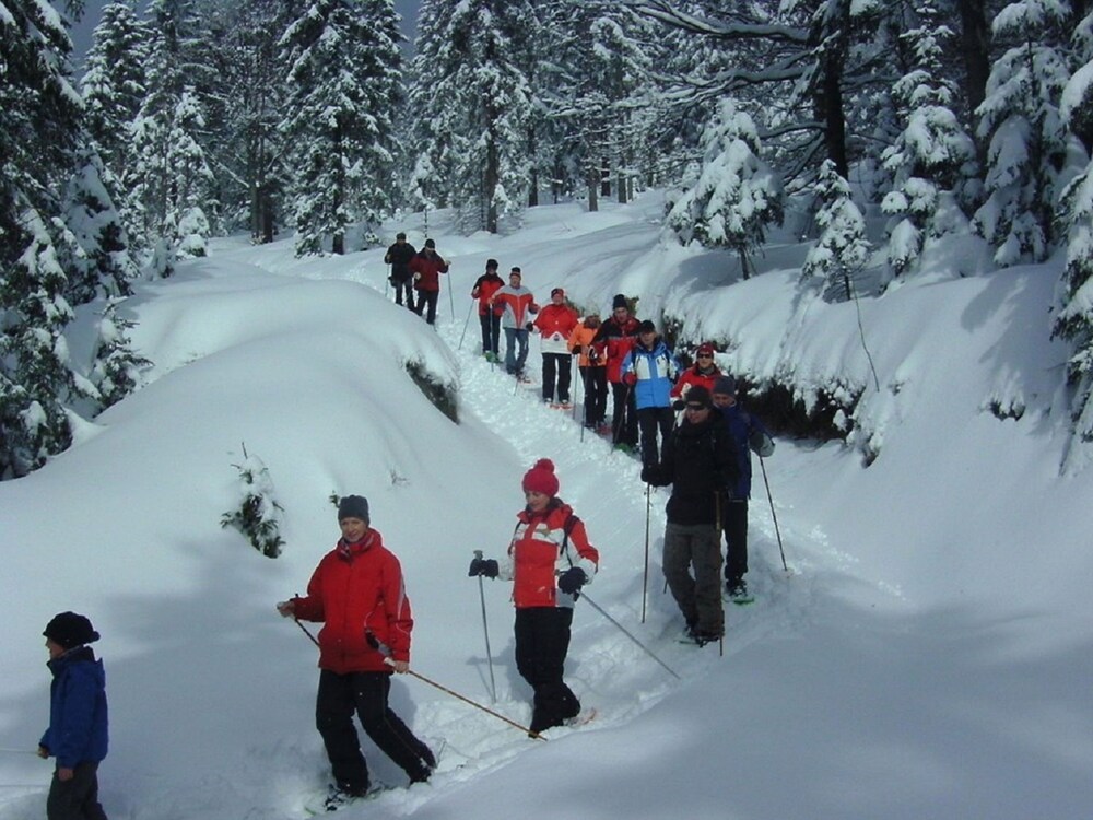 Snowshoeing