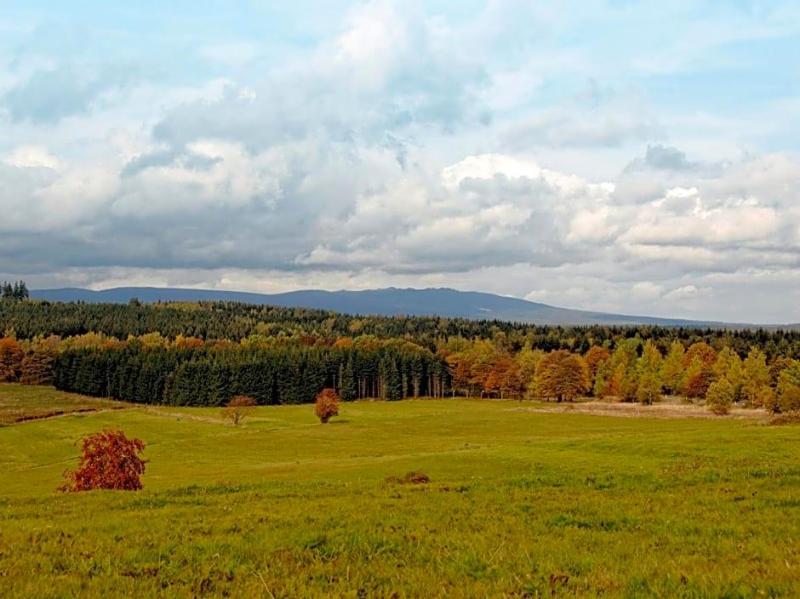 General view