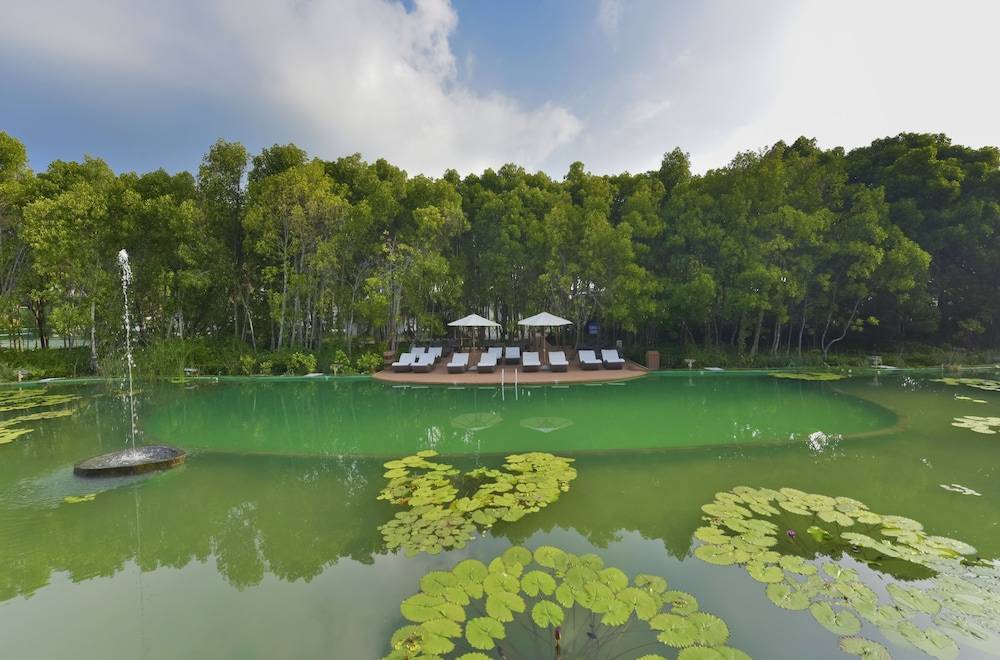 Natural Pool