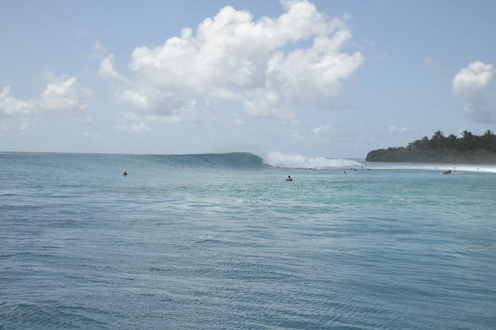 Surfing/boogie boarding