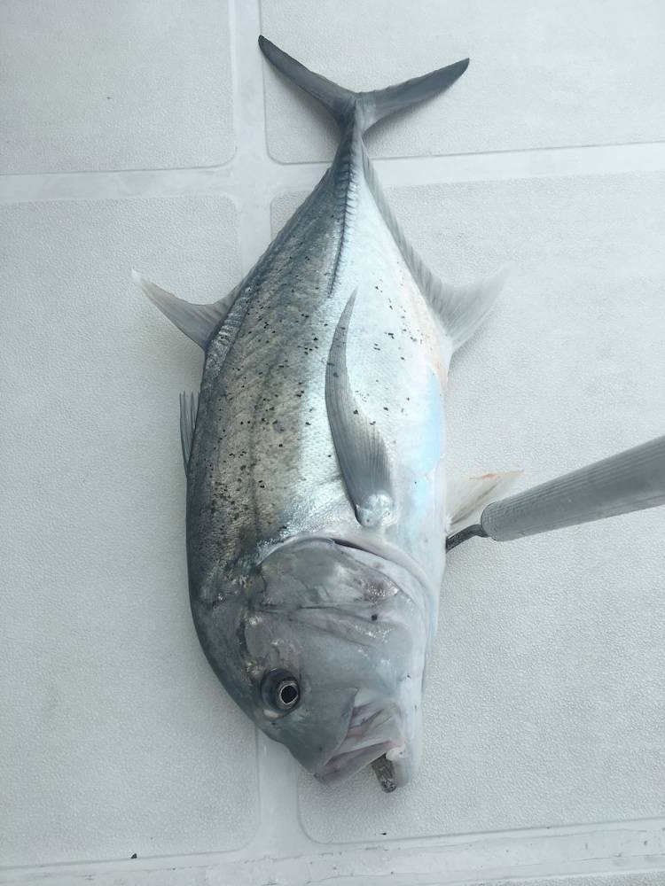 Fishing