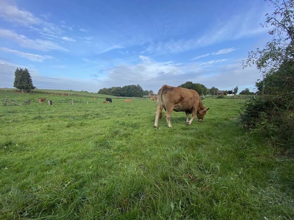 Land view from property