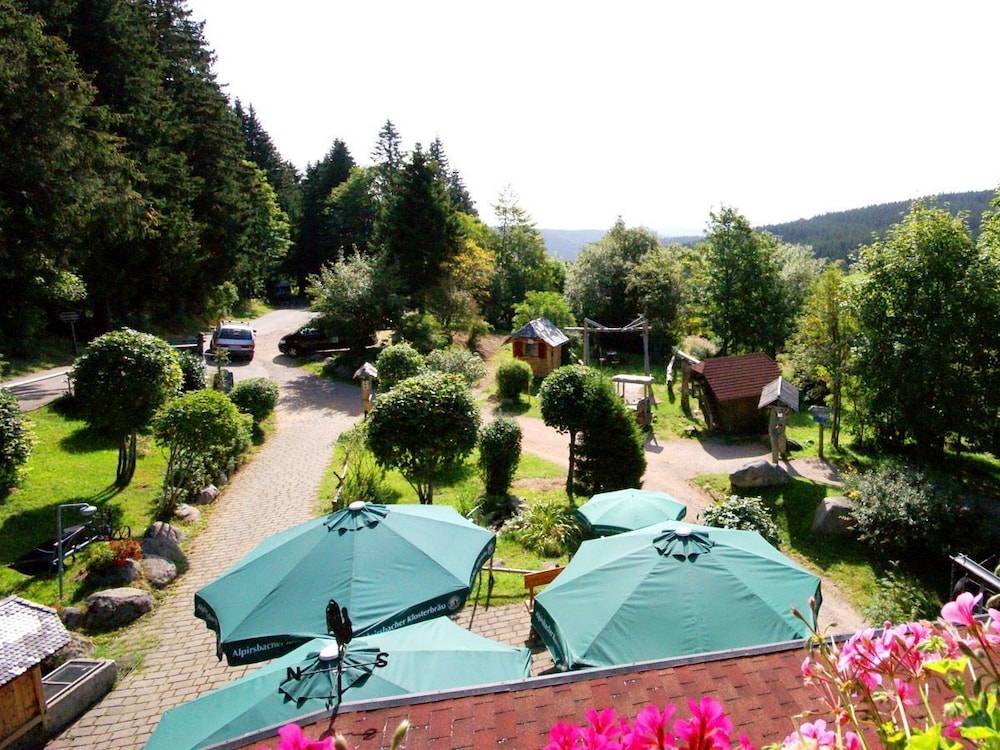 View from room