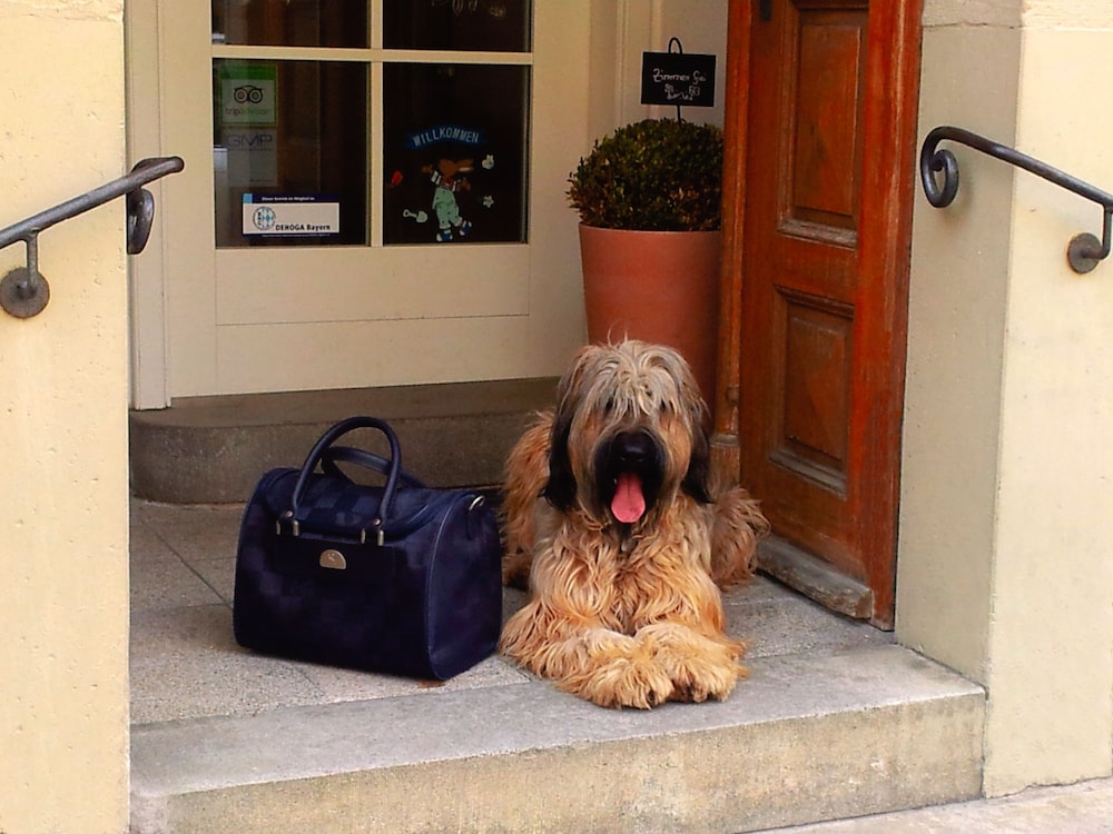 Pet-friendly