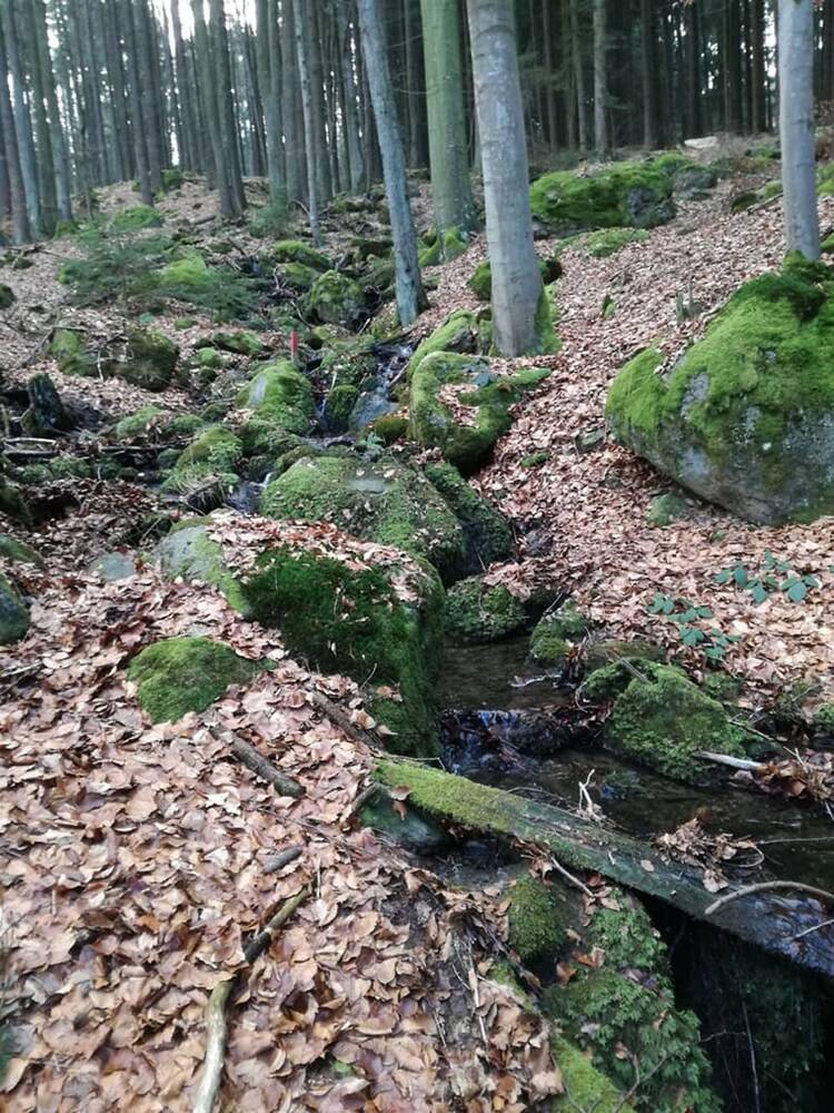 Hiking