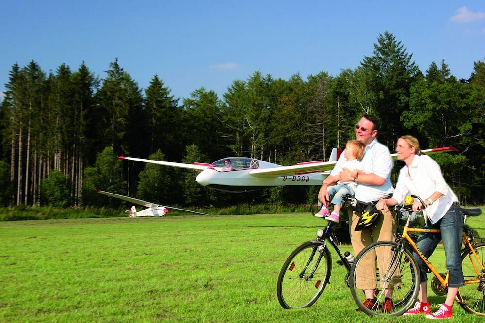 Helicopter/plane tours