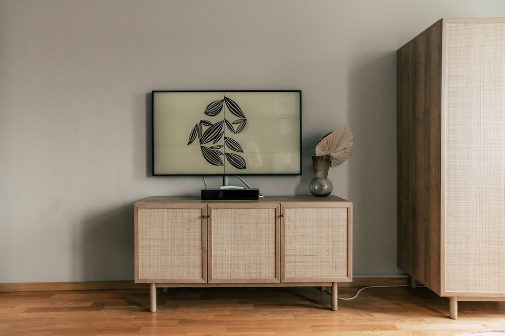 Television