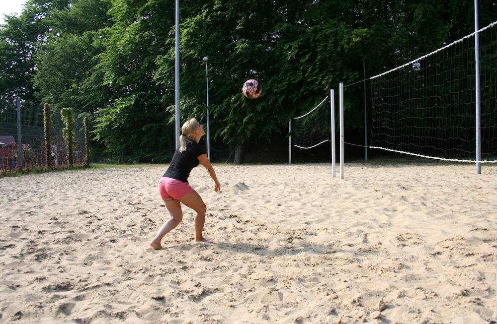Sport court