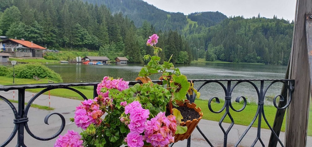 Lake view