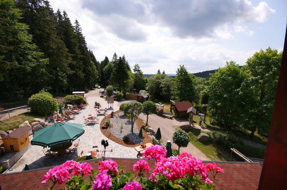 View from room