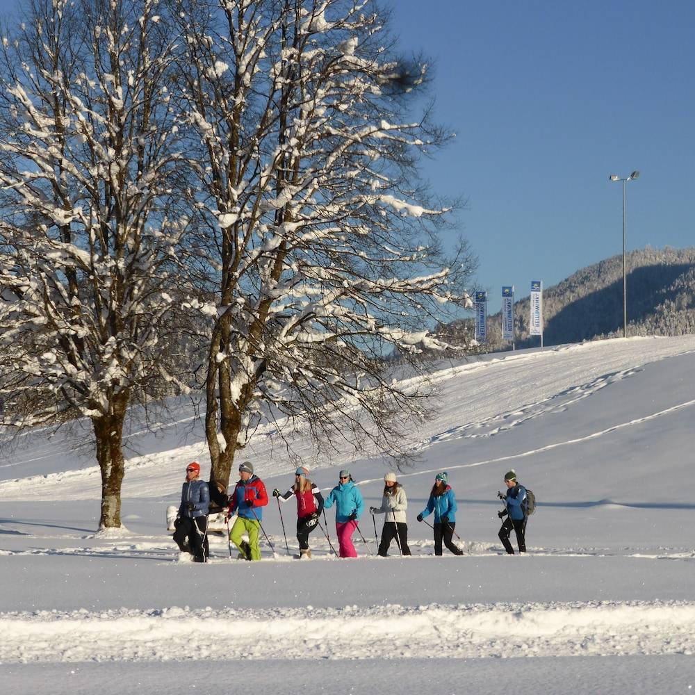 Snowshoeing