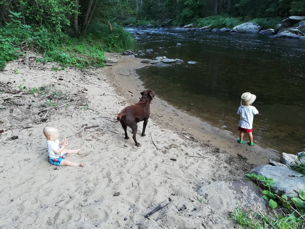 Children's activities
