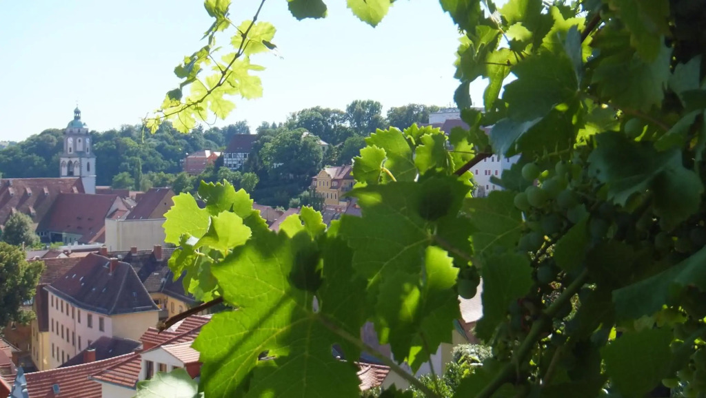 Hotel Schlossberg