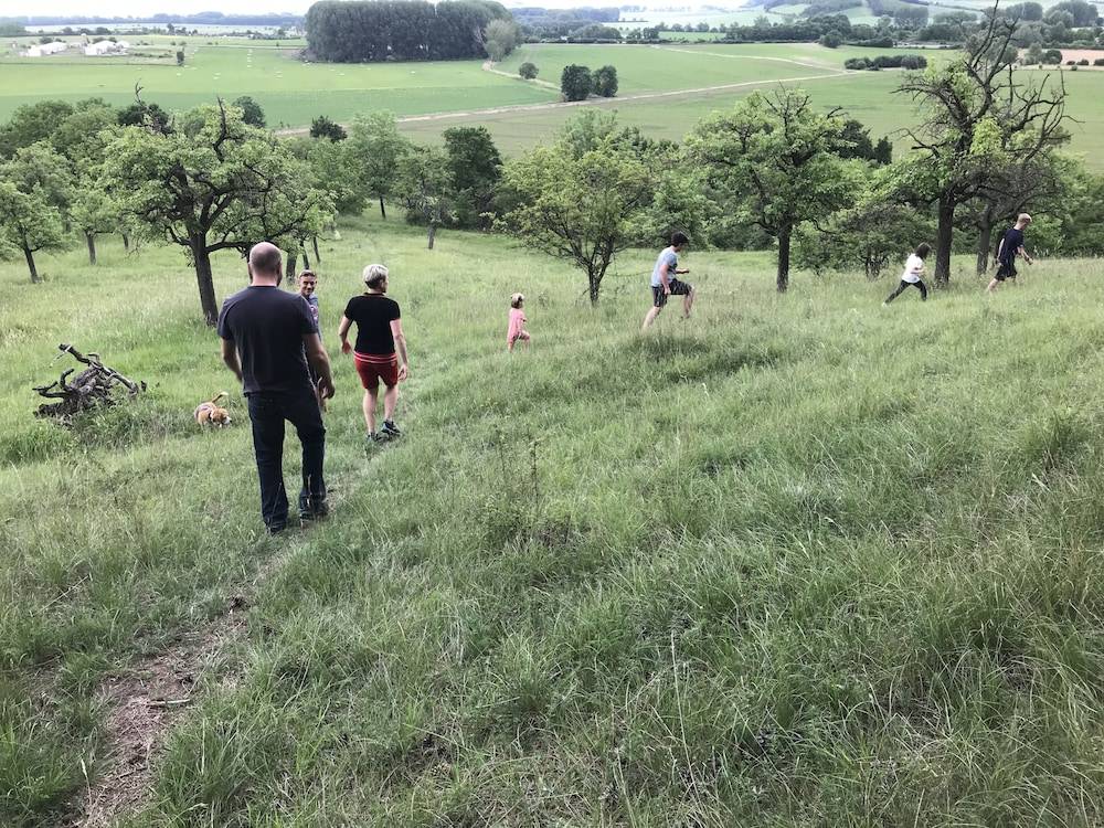 Hiking