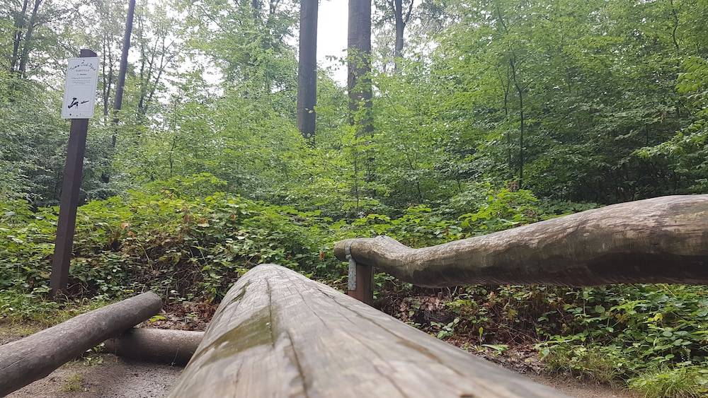 Hiking