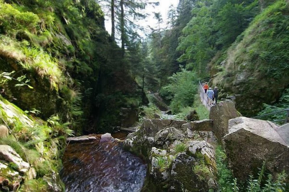 Hiking
