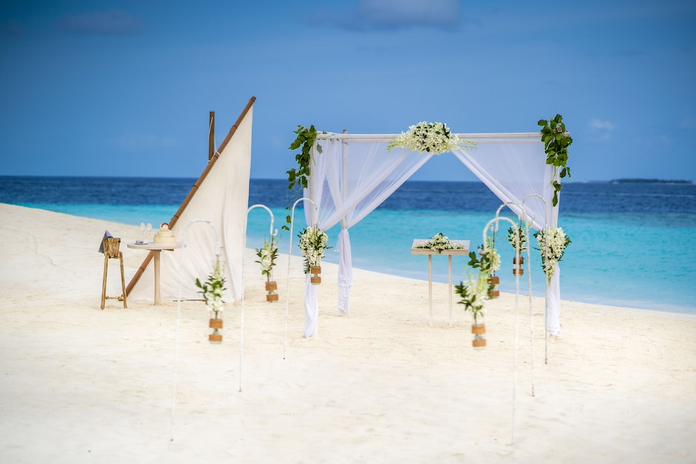 Outdoor wedding area