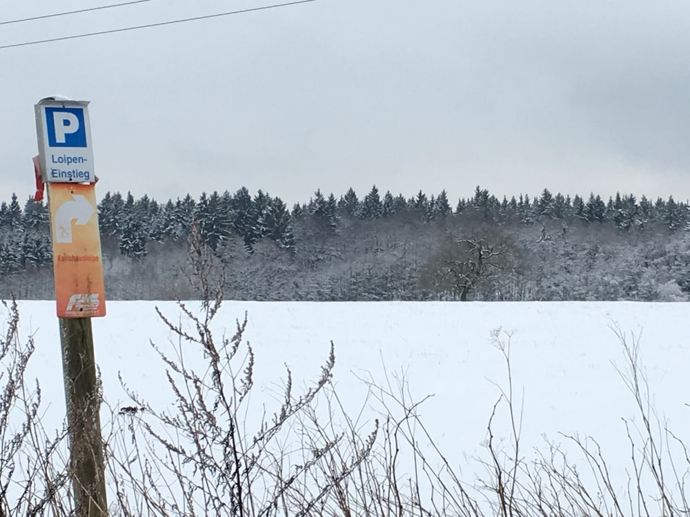 Snowshoeing