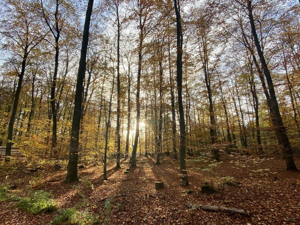 Hiking