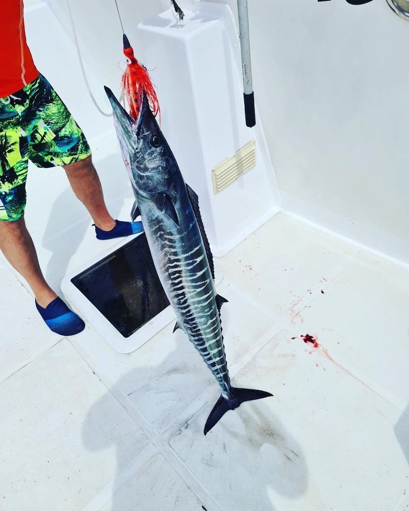 Fishing