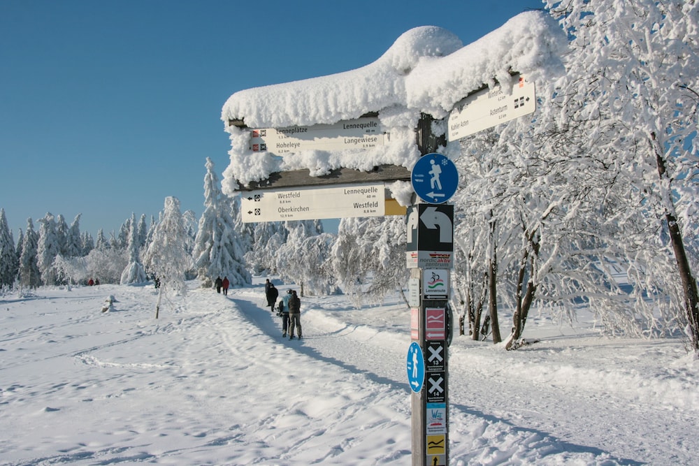 Sledding