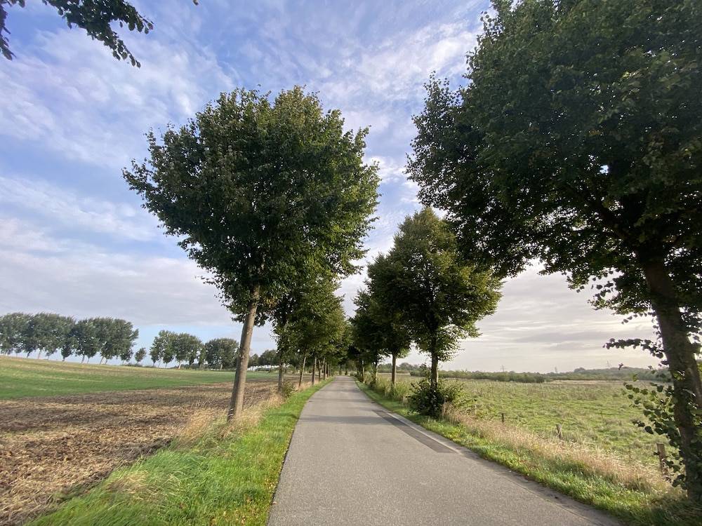Land view from property