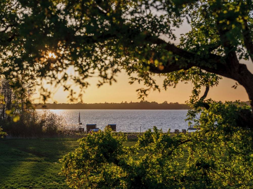 Lake view