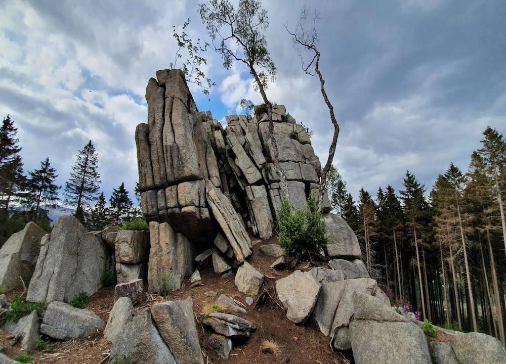 View from property